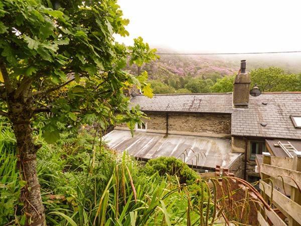 Pen Y Bont, Caernarfon Willa Beddgelert Zewnętrze zdjęcie